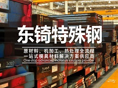 德國進口ts550